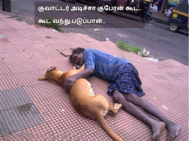 drunken man lying with dog