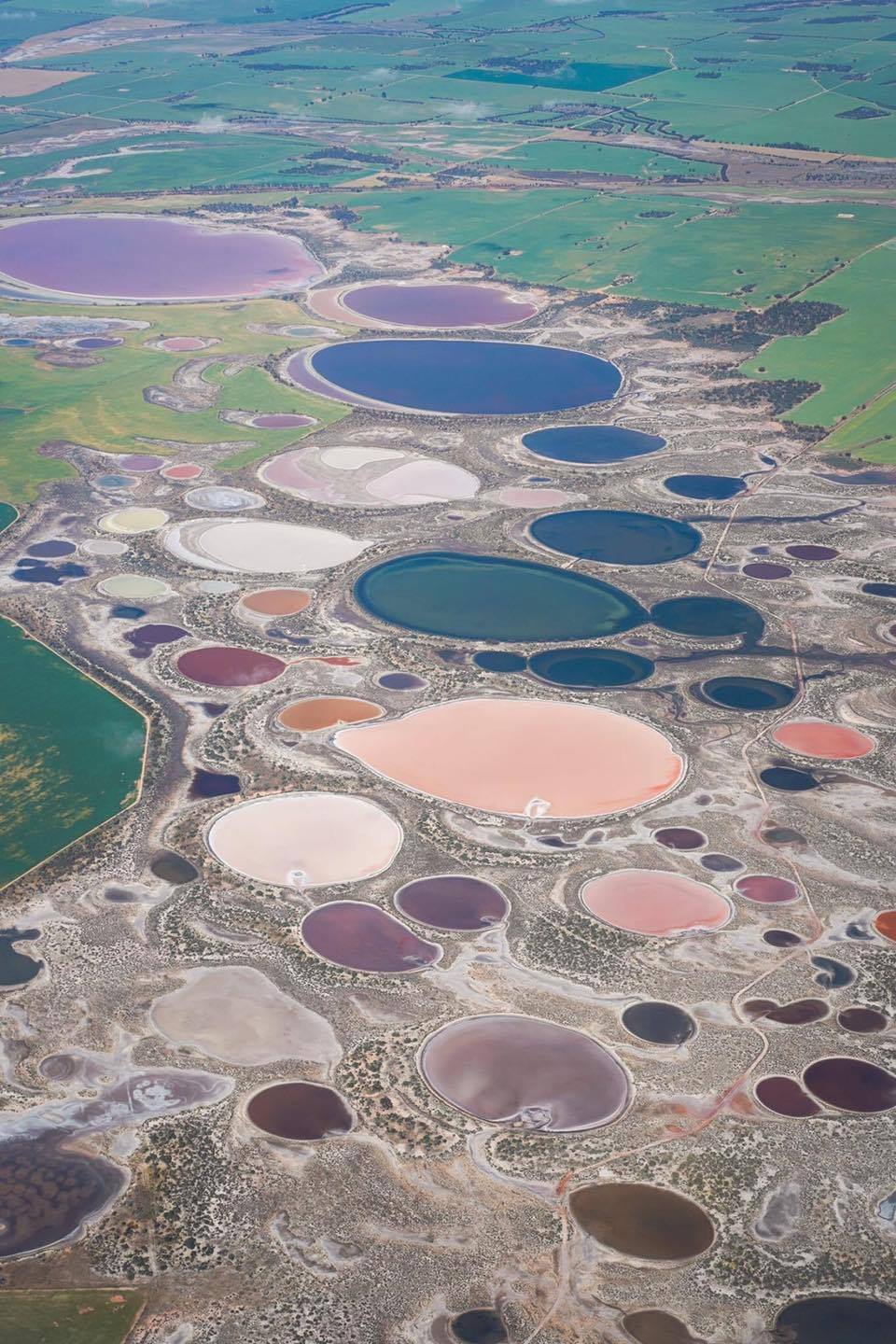 amazing picture nature paint palette salt lake australia