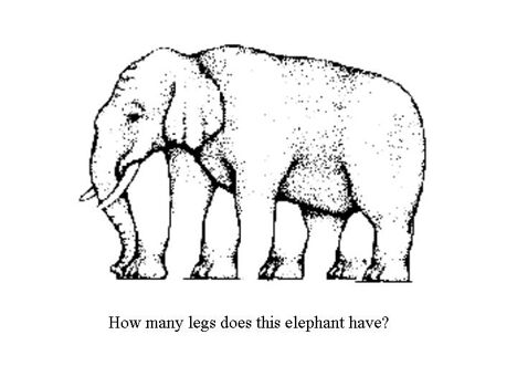 elephant optical illusion