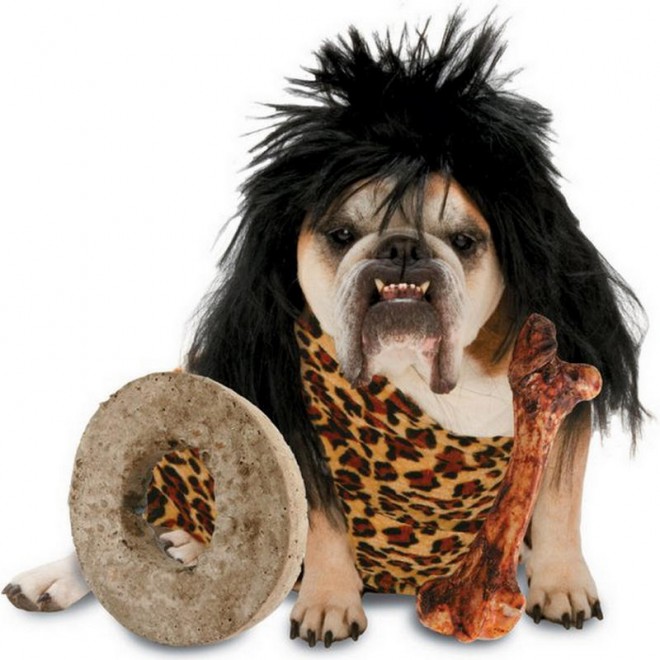 funny dog costumes halloween