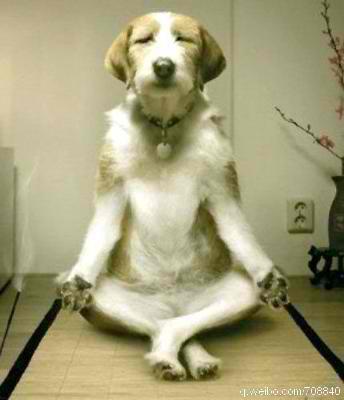 i practice yoga everyday