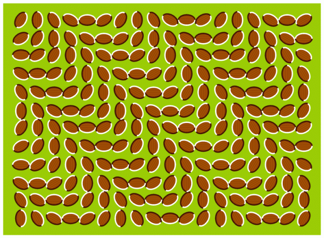 optical illusion images gif funny 27