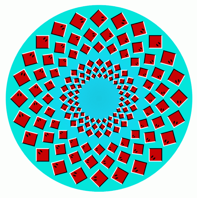 optical illusion images gif funny 31