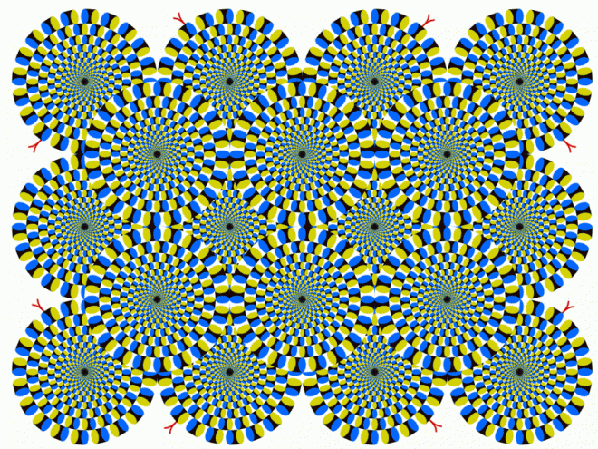 optical illusion images gif funny 32