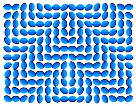 optical illusion images gif funny 57