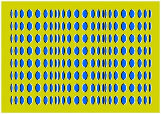 optical illusion images gif funny 