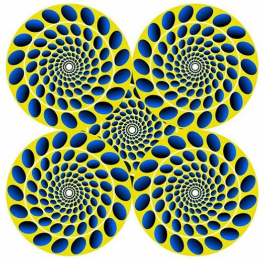 optical illusion images gif funny 73
