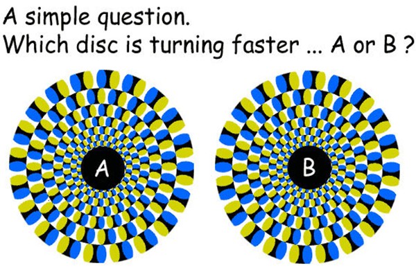 optical illusion images gif funny 75