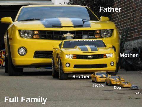 car family