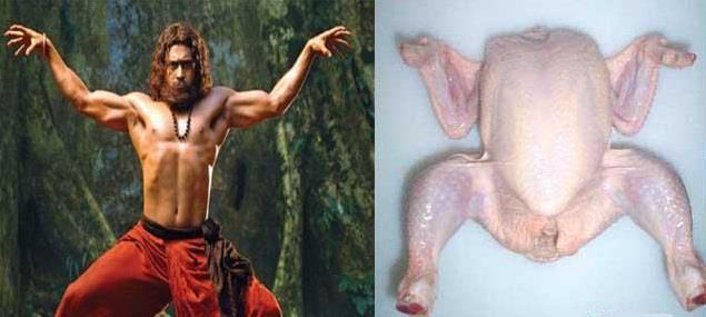 chicken vs actor surya