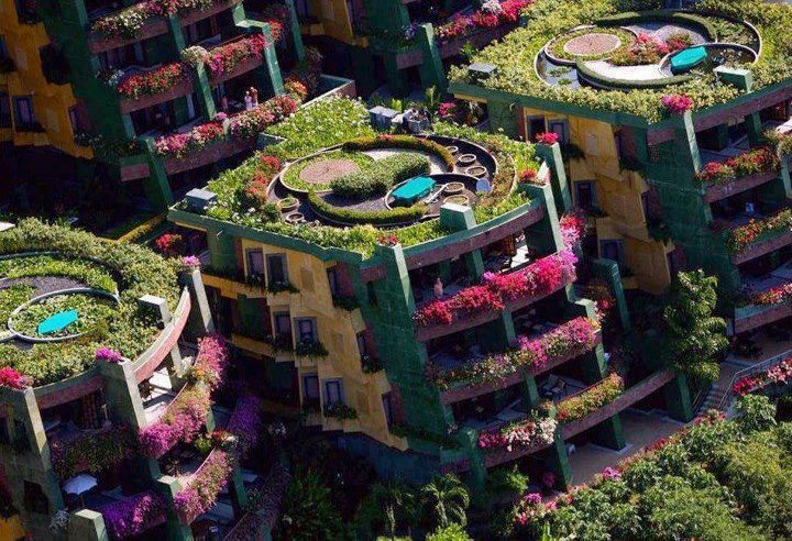 excellent gardening apartments
