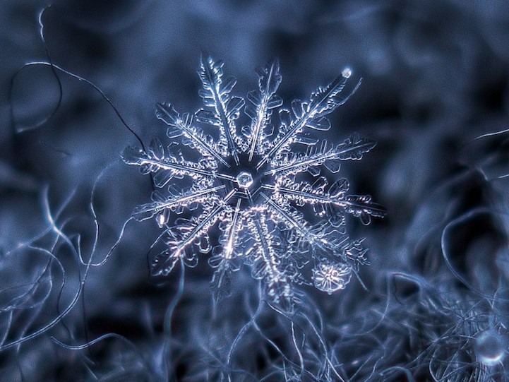 snowflake photo alexey kljatov