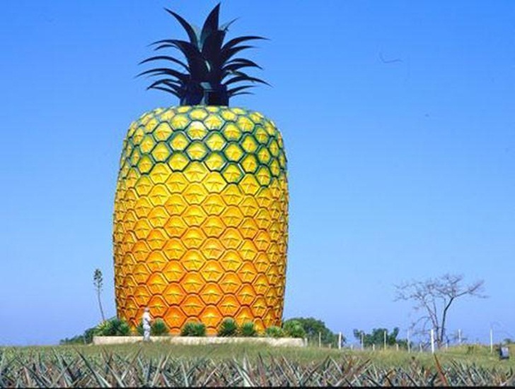 world biggest pineapple novelty architecture