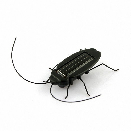 funny cockroach gadget