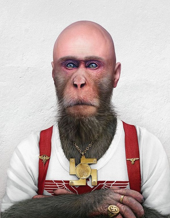 funny and stylish monkey picture