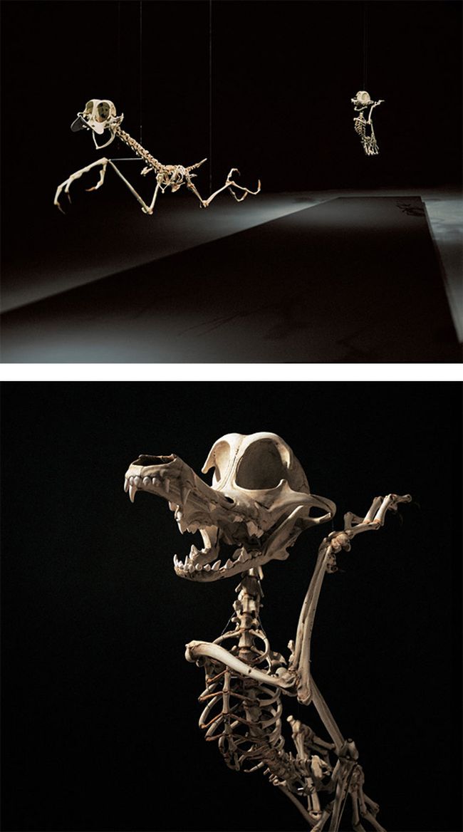 realistic skeleton cartoon characters hyungkoo lee
