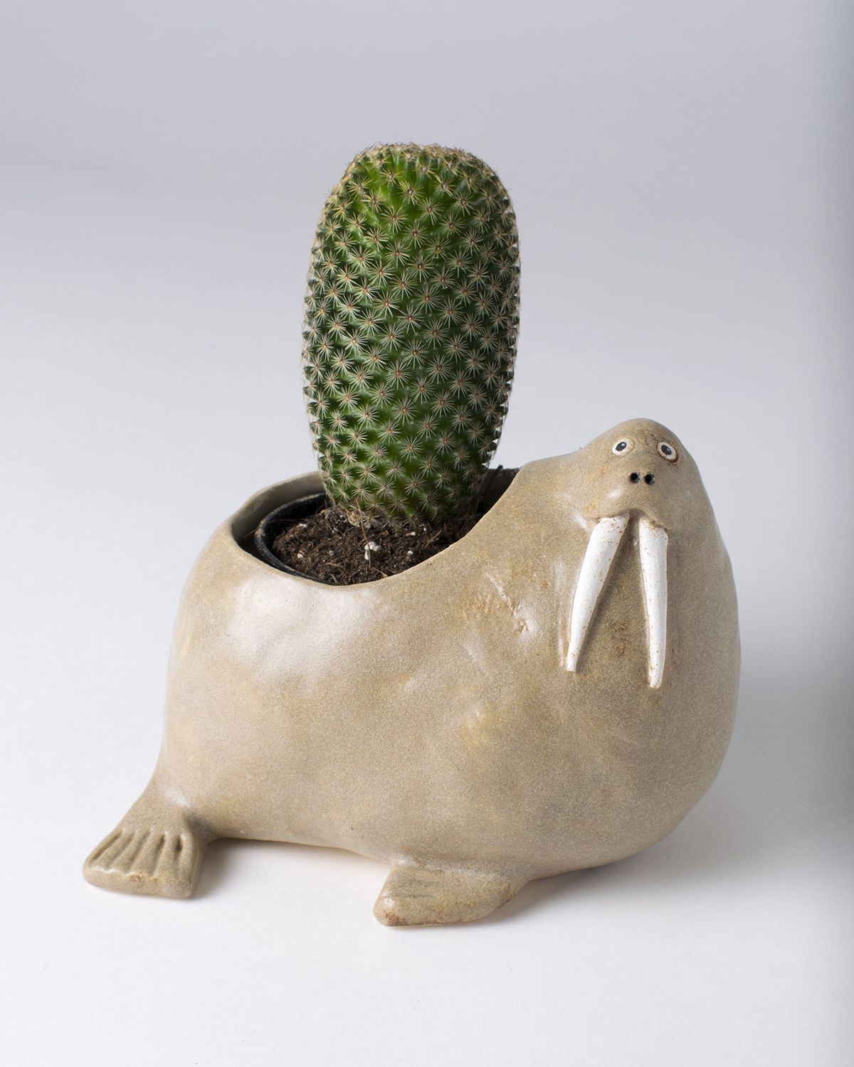 ceramic artwork noseymungo seal helen burgess