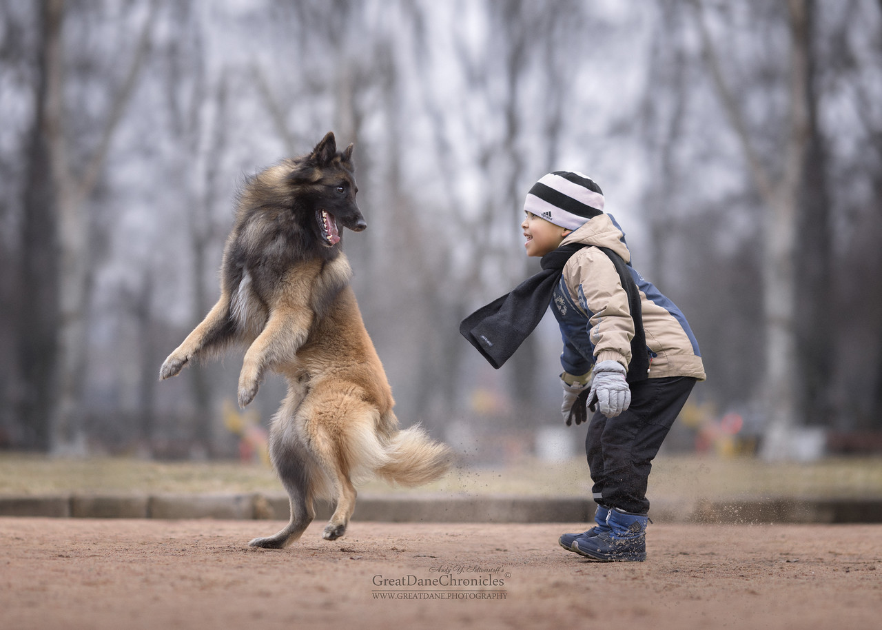 best moments kids dogs photographed andy seliverstoff
