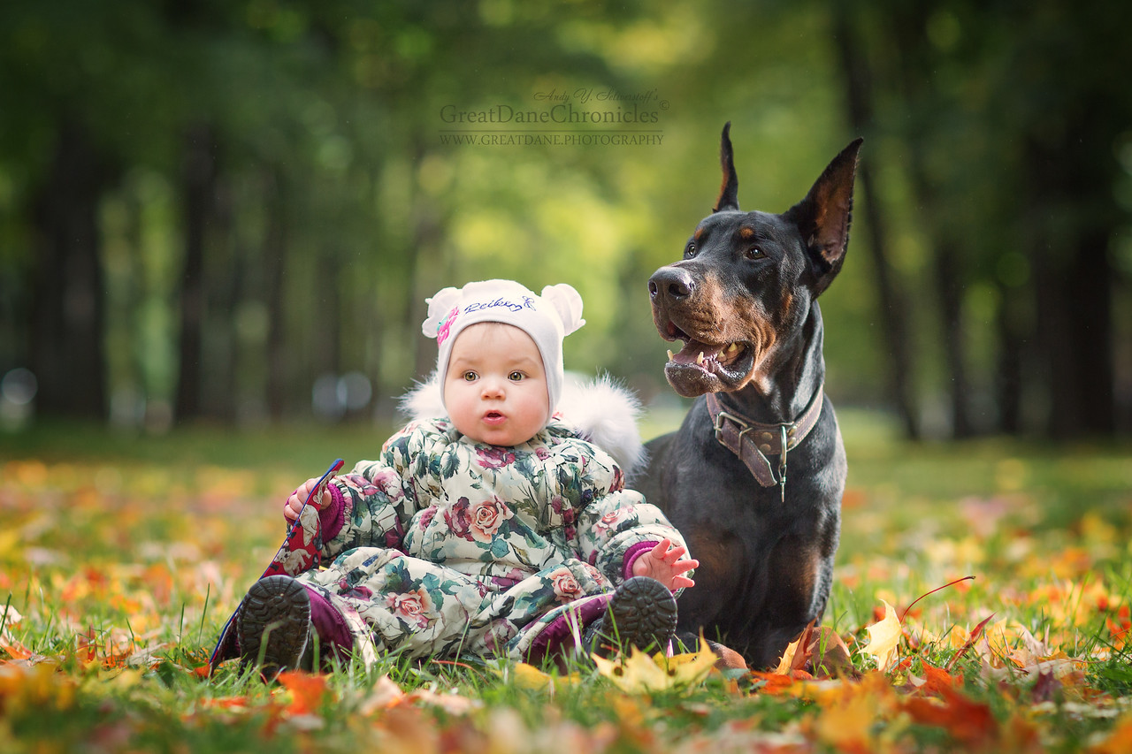 cute kids big dogs great dane photography andy seliverstoff