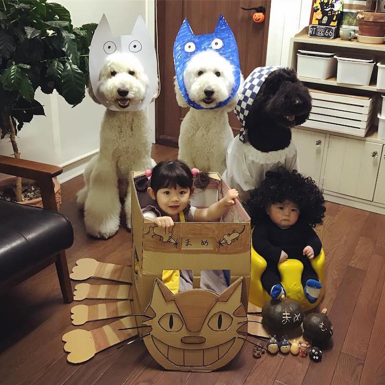 adorable kids dog friends japan