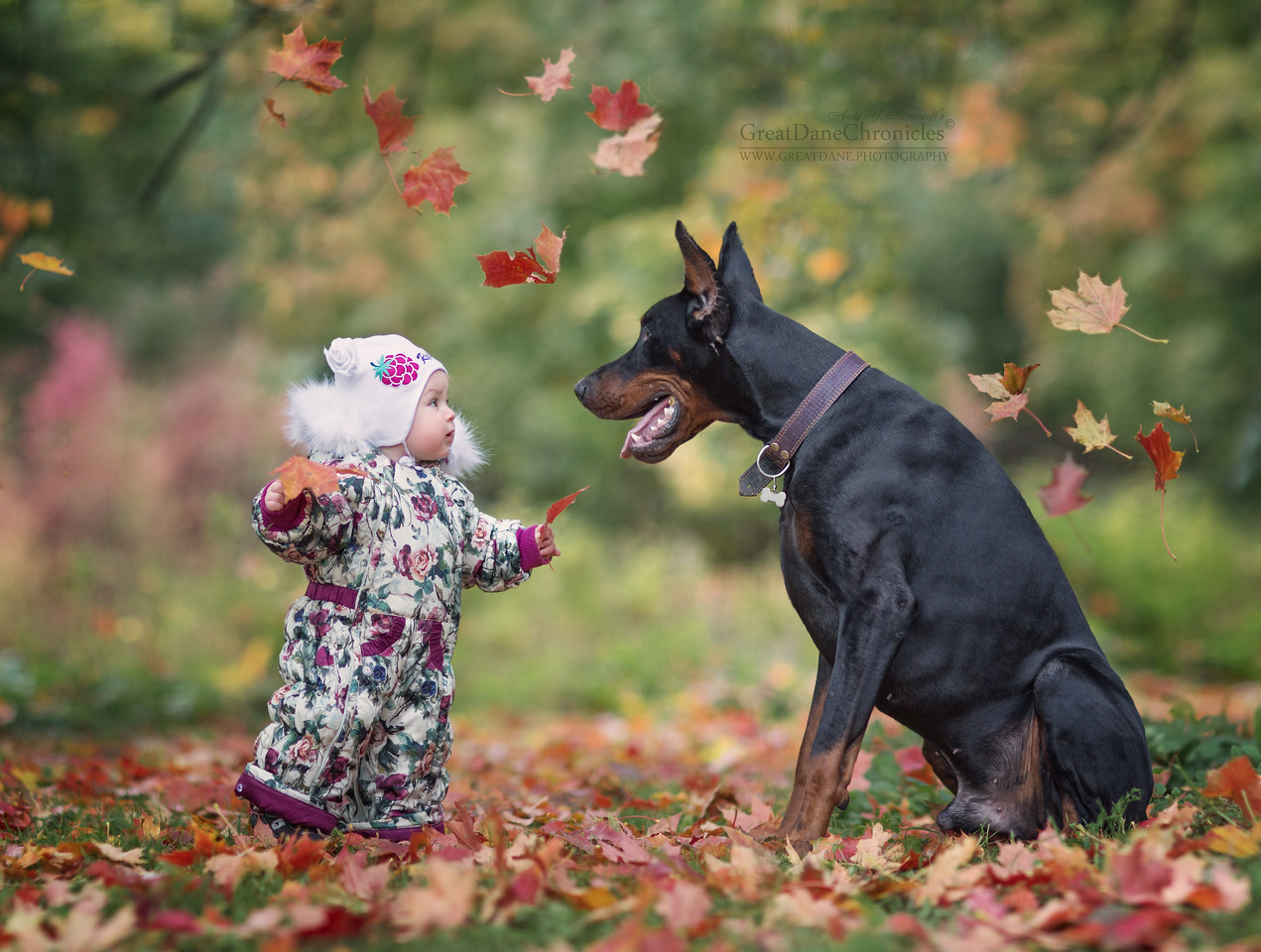 best moments kids dogs photographed andy seliverstoff