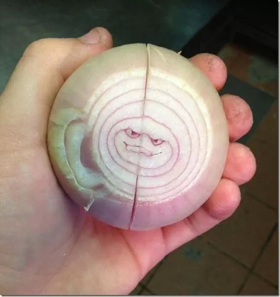 funny optical illusion image onion