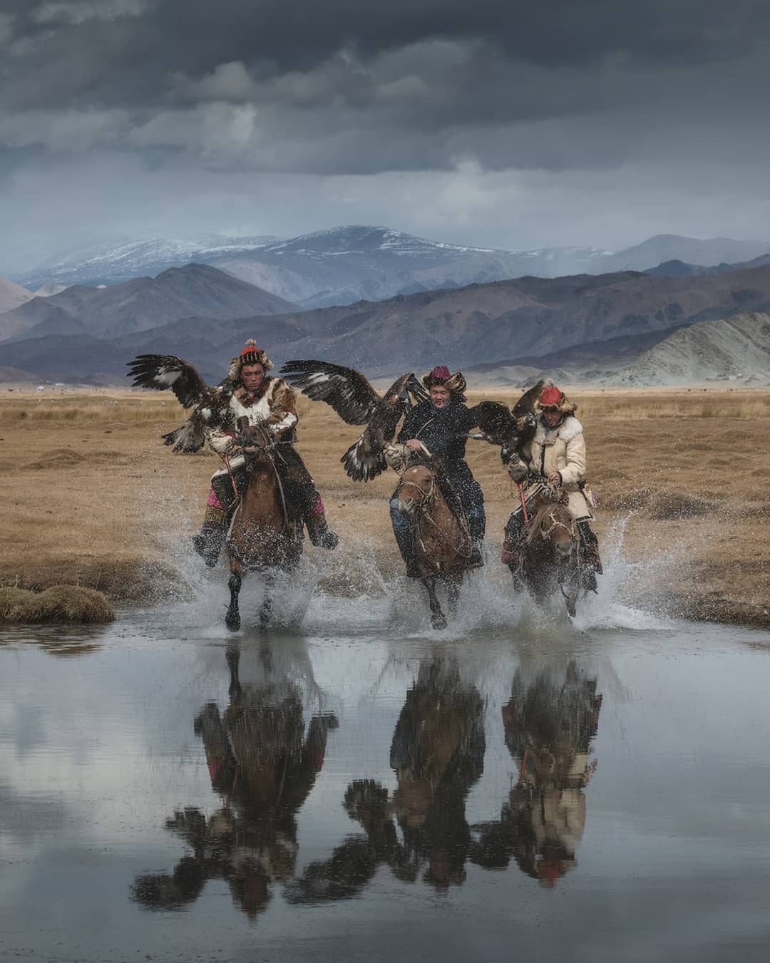 beautiful mongolian eagle photography daniel kordan