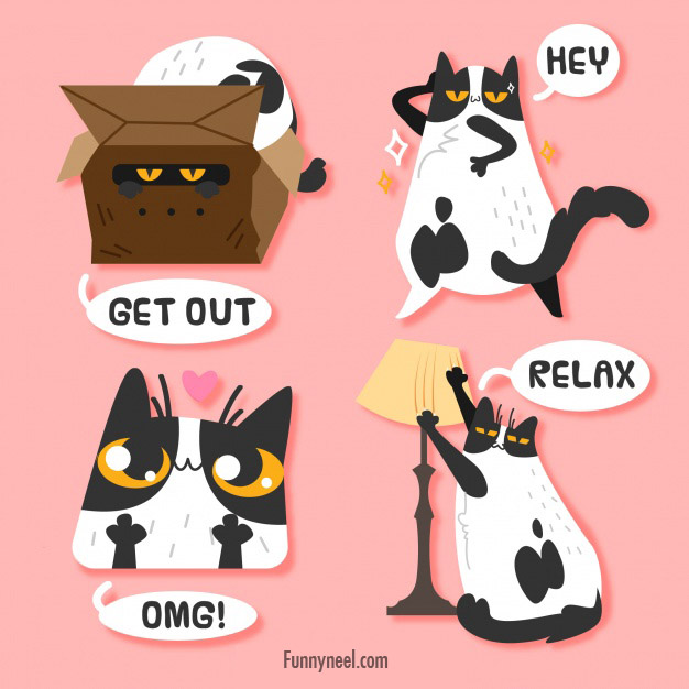 funny stickers cat