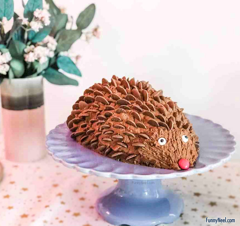 funny chocolate porcupine plate