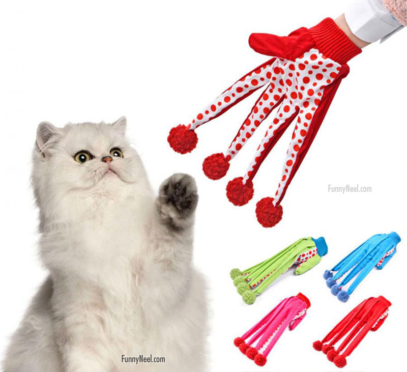 funny glove cat groom