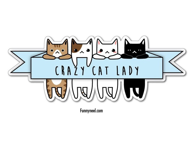 funny stickers crazy cat lady