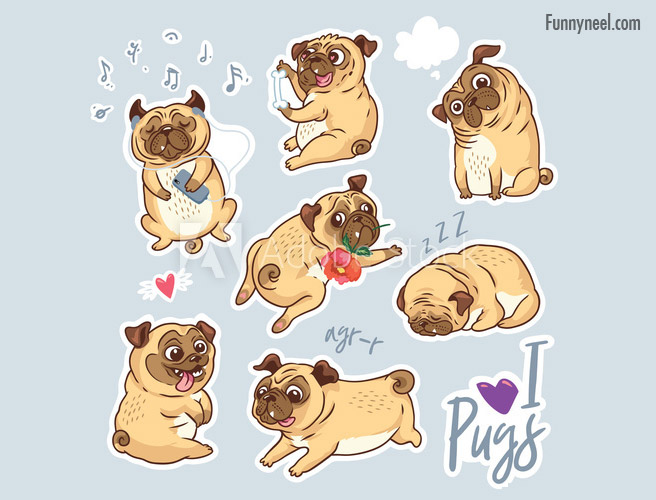 funny stickers pugs