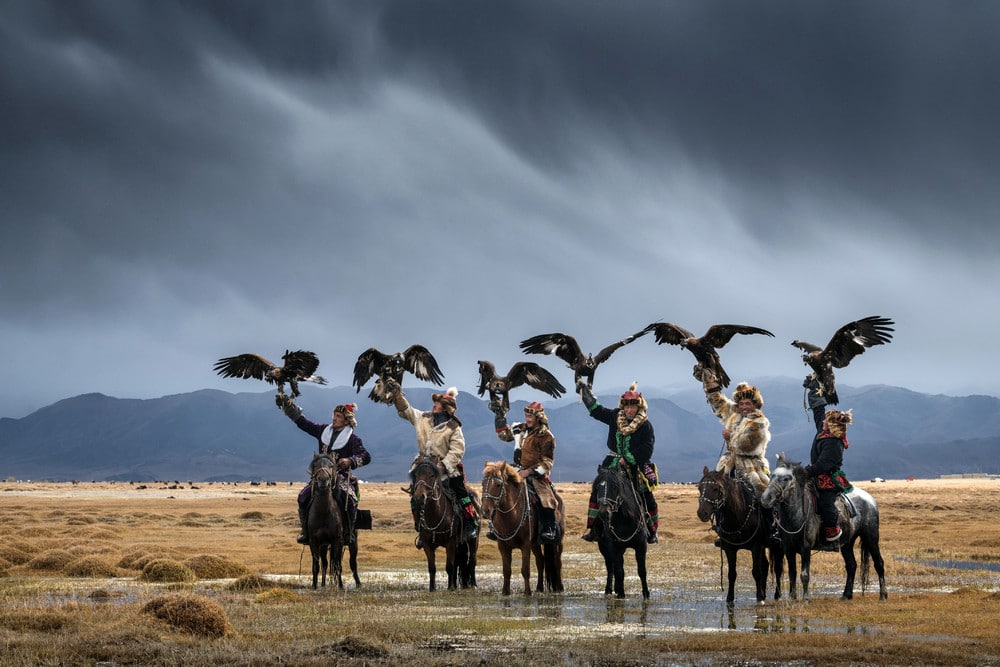 beautiful mongolian eagle picture daniel kordan