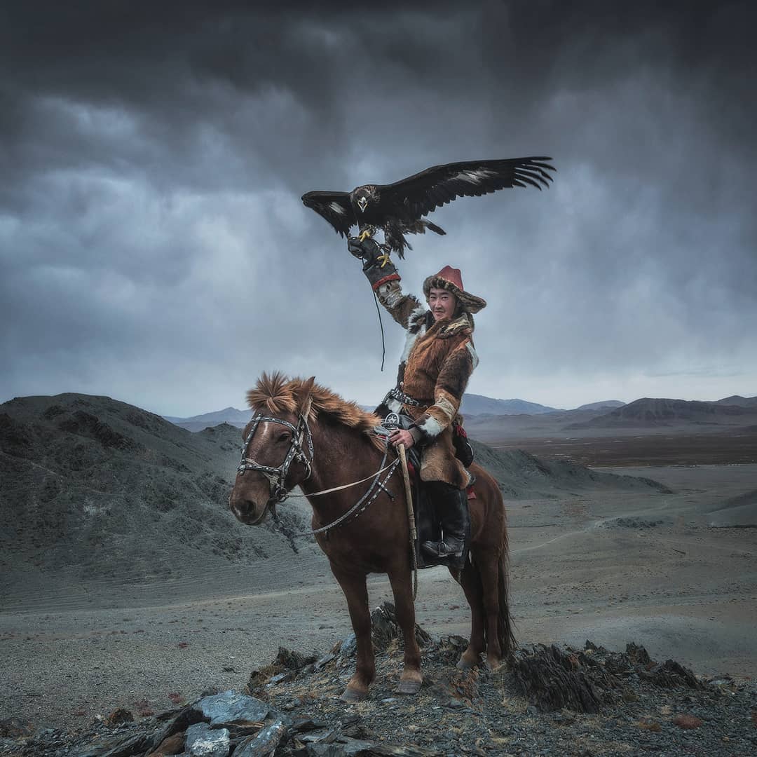 beautiful mongolian eagle image daniel kordan