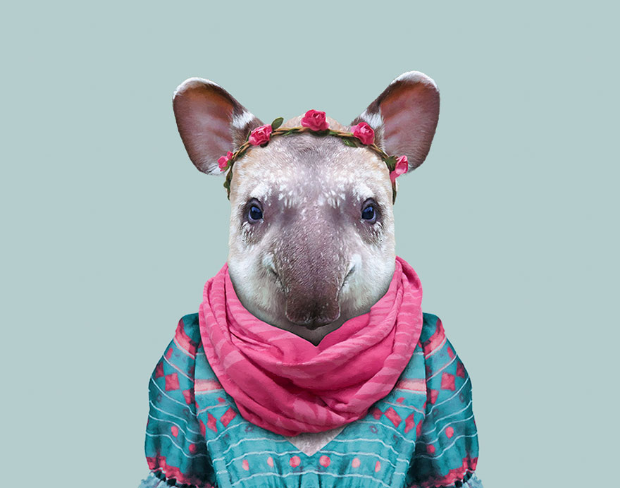 funny animal photo manipulation south american tapir yago partal
