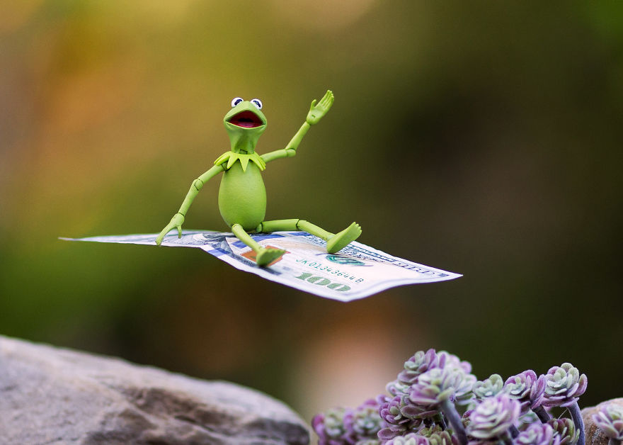 funny kermit frog toy photo mitchel wu