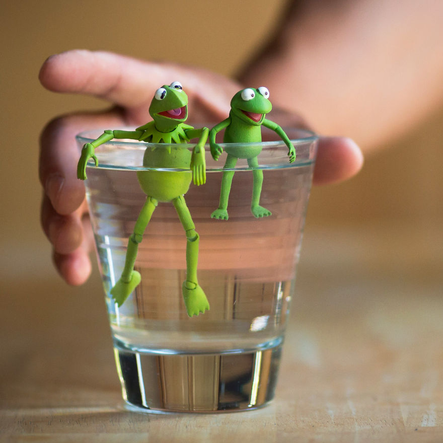 funny kermit frog toy photo mitchel wu