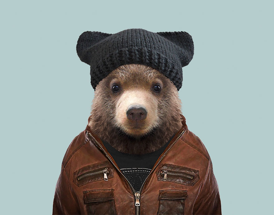 funny animal photo manipulation kodiak bear yago partal