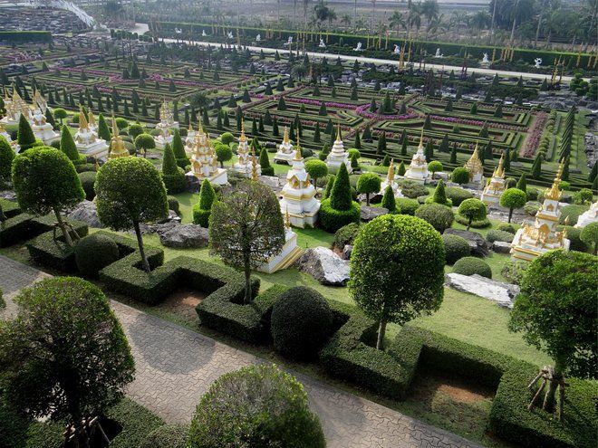 beautiful nong nooch flower garden image thailand