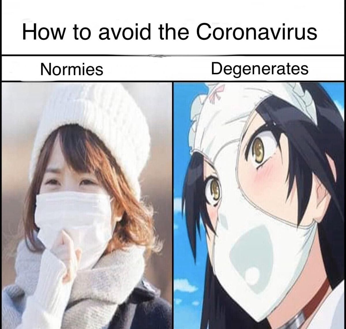 interesting corona virus memes