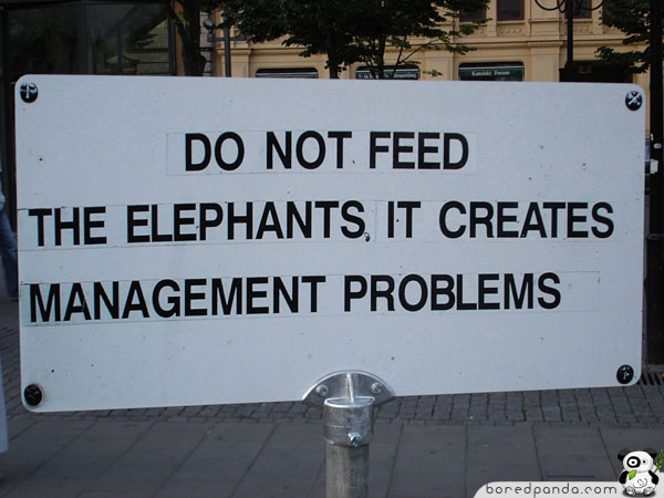 funny animal signboard found around world