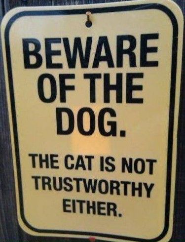 funny dog signboard found around world