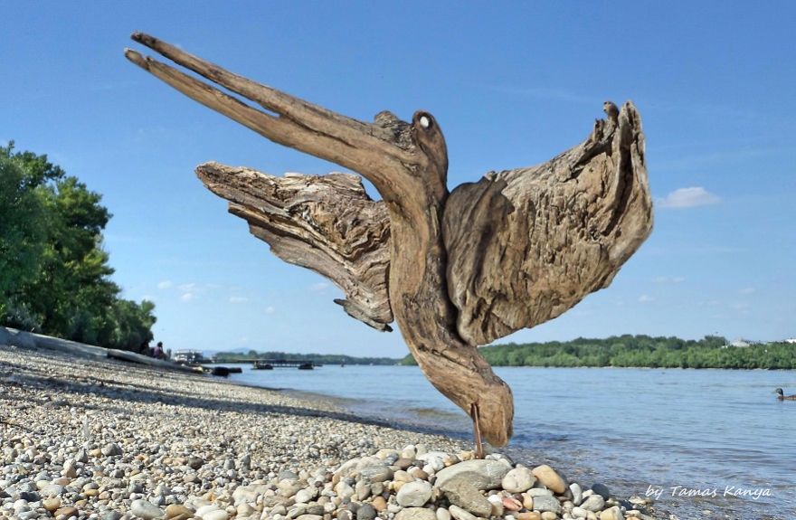 crazy sculpture driftwood tamas kanya