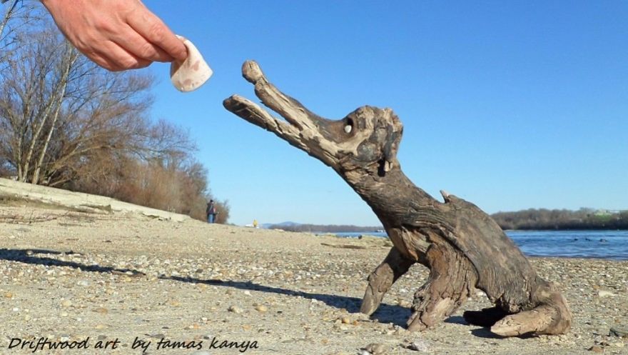 crazy driftwood sculpture tamas kanya