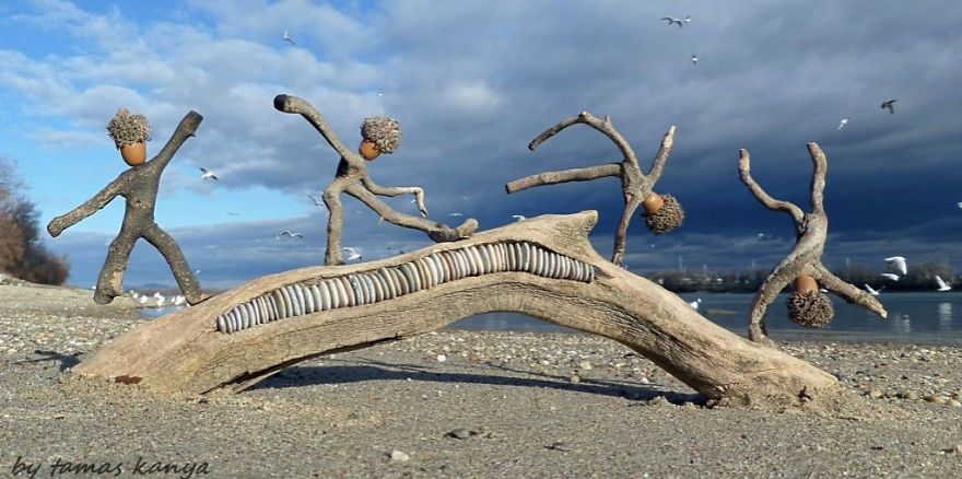 funny driftwood sculpture tamas kanya